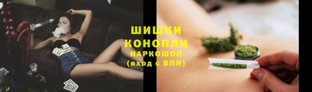 индика Абаза