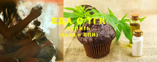 индика Абаза