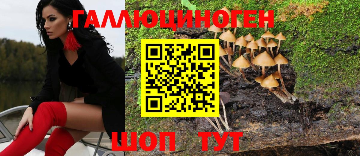 Галлюциногенные грибы мицелий  Вход с VPN  Галлюциногенные грибы GOLDEN TEACHER  Камышлов 